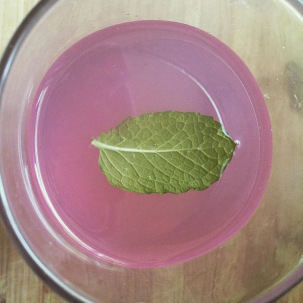 Berry H2O