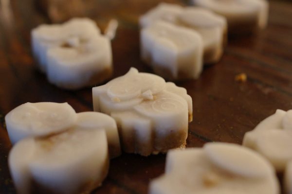 Simple Cinnamon Coconut Bites (AIP Paleo, AI Keto) Simple Cinnamon Coconut Bites (AIP Paleo, AI Keto)